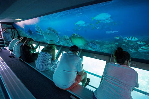 Great Barrier Reef Day Cruise To Reefworld - Attractions Brisbane 0