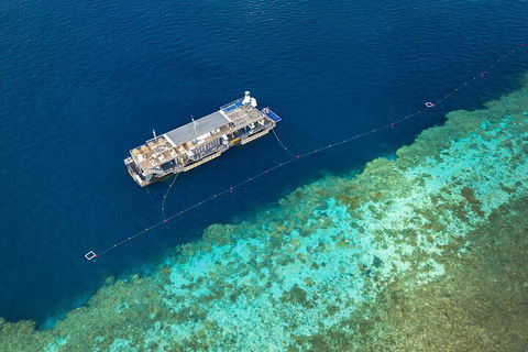 Great Barrier Reef Day Cruise To Reefworld - Attractions Brisbane 2
