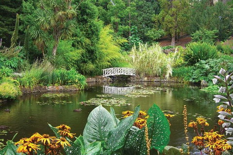 Hobart Half-Day Sightseeing Coach Tram Tour - Attractions Brisbane 0