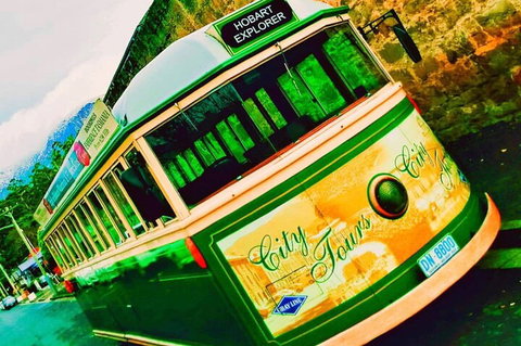 Hobart Half-Day Sightseeing Coach Tram Tour - Attractions Brisbane 5