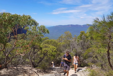 Blue Mountains Unique Small-Group Day Adventure With BBQ Lunch - Attractions Brisbane 3