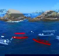 3-Hour Byron Bay Certified Scuba Diving Tour - Attractions Brisbane