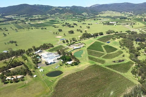Helicopter Tour Of Hunter Valley In New South Wales With Lunch - Attractions Brisbane 4
