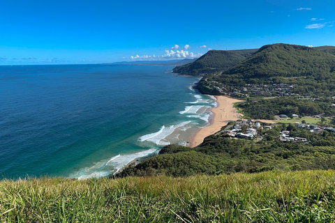 South Coast Private Charter - Attractions Brisbane 0