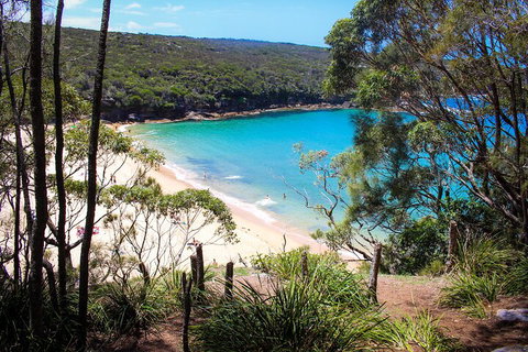 South Coast Private Charter - Attractions Brisbane 1