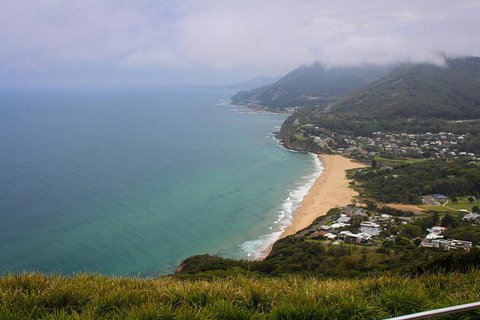South Coast Private Charter - Attractions Brisbane 3