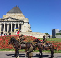 Private Half Day Melbourne City Tour with Local guide - Attractions Brisbane