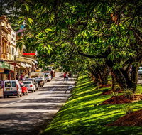 Fully Inclusive Blue Mountains Private Tour inc Scenic World  Featherdale entry - Attractions Brisbane