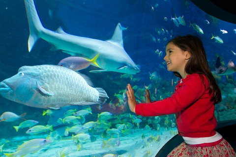 Melbourne BIG Ticket - LEGOLAND Discovery And SEA LIFE Melbourne - Attractions Brisbane 1