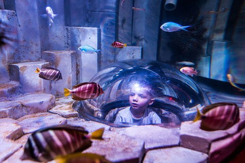 Melbourne BIG Ticket - LEGOLAND Discovery And SEA LIFE Melbourne - Attractions Brisbane 5