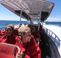 Adventure Rottnest Tour with Ferry  Adventure Cruise from Perth or Fremantle - Attractions Brisbane