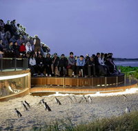 2-Day Great Ocean Road Mornington Peninsula and Phillip Island Tour - Attractions Brisbane