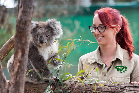 Small-Group Phillip Island Penguin Parade Day Tour From Melbourne - Attractions Brisbane 0