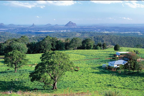 Full Day Sunshine Coast Hinterland Luxury Small Group Tour From Brisbane - Attractions Brisbane 2
