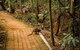 Full Day Sunshine Coast Hinterland Luxury Small Group Tour From Brisbane - thumb 3