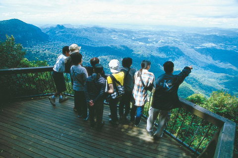 Springbrook National Park & Gold Coast Full Day Luxury Tour From Brisbane - Attractions Brisbane 0