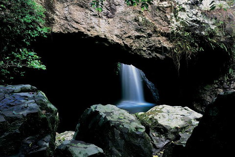 Springbrook National Park & Gold Coast Full Day Luxury Tour From Brisbane - Attractions Brisbane 2