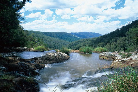 Springbrook National Park & Gold Coast Full Day Luxury Tour From Brisbane - Attractions Brisbane 3
