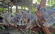 Kuranda Rainforestation & Kuranda Scenic Rail - thumb 5