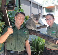 Virtual Interactive Australian Wildlife Tour With Private Guide-Wildlife Habitat - Attractions Brisbane