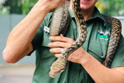Virtual Interactive Australian Wildlife Tour With Private Guide-Wildlife Habitat - Attractions Brisbane 1