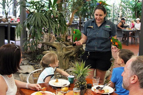 Wildlife Habitat Port Douglas - Attractions Brisbane 2
