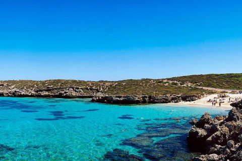 Rottnest Island Roundtrip Fast Ferry From Hillarys Boat Harbour - Attractions Brisbane 4
