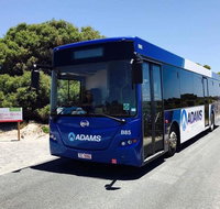 Rottnest Bayseeker Bus Tour from Hillarys Boat Harbour - Attractions Brisbane