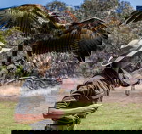 One Day Kangaroo Island Sip  See tour with return ferry transfers from Adelaide - Attractions Brisbane