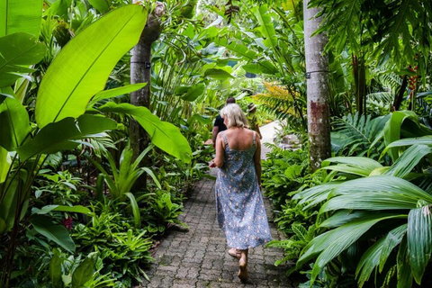 Cairns City Sights And Surrounds Tour - Attractions Brisbane 2