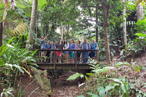 Cairns Shore Excursion: Cairns City Sights & Surrounds Tour - Attractions Brisbane 1
