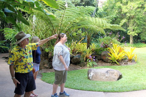 Cairns Shore Excursion: Cairns City Sights & Surrounds Tour - Attractions Brisbane 4