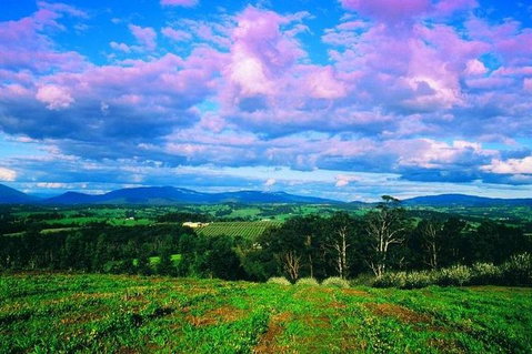 CHEVY CONVERTIBLE Package For 4 -Wine Lunch Cheese & Chocolate From Yarra Valley - Attractions Brisbane 4