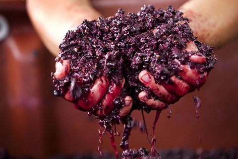 CHEVY CONVERTIBLE Package For 4 -Wine Lunch Cheese & Chocolate From Yarra Valley - Attractions Brisbane 5