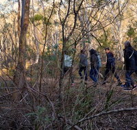 Wild Australian Wildlife 4WD Tour from Sydney - Attractions Brisbane