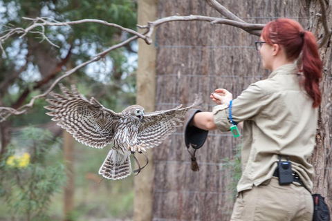 Moonlit Sanctuary Wildlife Conservation Park Daytime General Entry Ticket - Attractions Brisbane 1