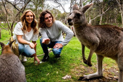Moonlit Sanctuary Wildlife Conservation Park Daytime General Entry Ticket - Attractions Brisbane 2