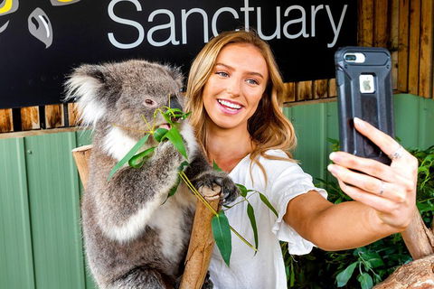 Moonlit Sanctuary Wildlife Conservation Park Daytime General Entry Ticket - Attractions Brisbane 4