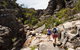 3-Day Melbourne To Adelaide Small-Group Tour Via Great Ocean Road Grampians - thumb 2