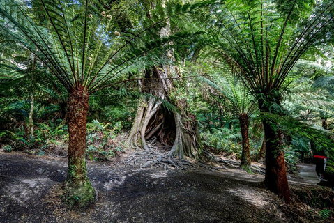 Adelaide To Melbourne 3-Day Trip Through Grampians And Great Ocean Road - Attractions Brisbane 0