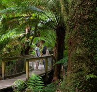 Great Ocean Road to Grampians 2 Day 1 Night Tour from Melbourne to Adelaide - Attractions Brisbane