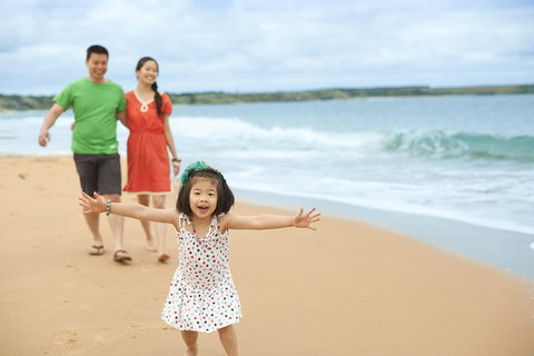 Phillip Island Penguin Parade Day Trip With Koala Conservation Reserve Visit - Attractions Brisbane 5