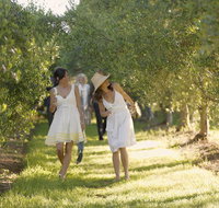 Yarra Valley Wine Tour with Local Harvest Tastings from Melbourne - Attractions Brisbane