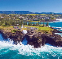 Sydney Wine Tour  Wine Waves  Wildlife in South Coast - Attractions Brisbane