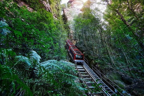 Blue Mountains Private Tour With Kangaroos & Koala Encounter - Attractions Brisbane 1
