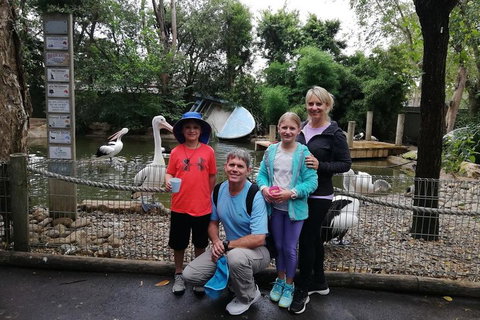 Blue Mountains Private Tour With Kangaroos & Koala Encounter - Attractions Brisbane 4
