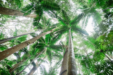 Fraser Explorer K'gari 2-Day Tour - Attractions Brisbane 2