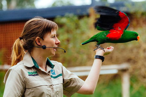 VIP Sanctuary Tour At Healesville Sanctuary Ticket - Attractions Brisbane 0