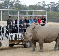 Off-Road Safari at Werribee Open Range Zoo - Attractions Brisbane