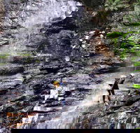 Full-Day Canyoning Experience at Stunning Empress Canyon - Attractions Brisbane